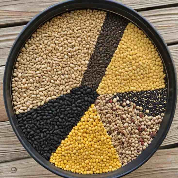 birdseed mix containing black oil sunflower seeds, millet, and cracked corn