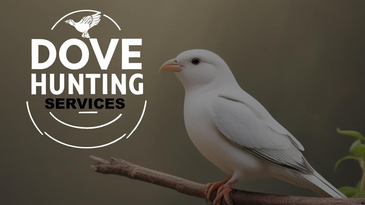 Dovehunting.org-Our Services