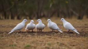 Understanding Season Schedule for Hunting Doves in Wyoming